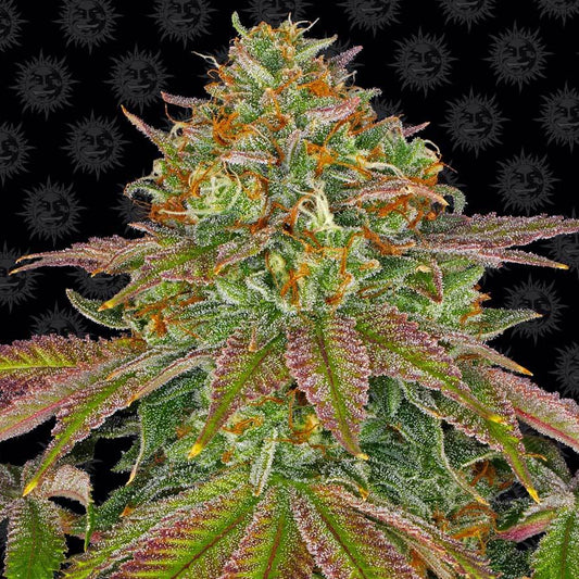 Barney's Farm Wedding Cake