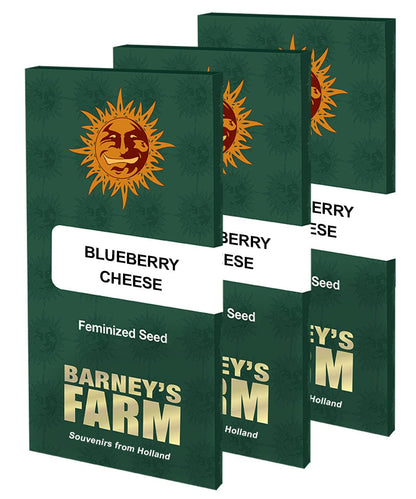 Barney's Farm Blue Cheese