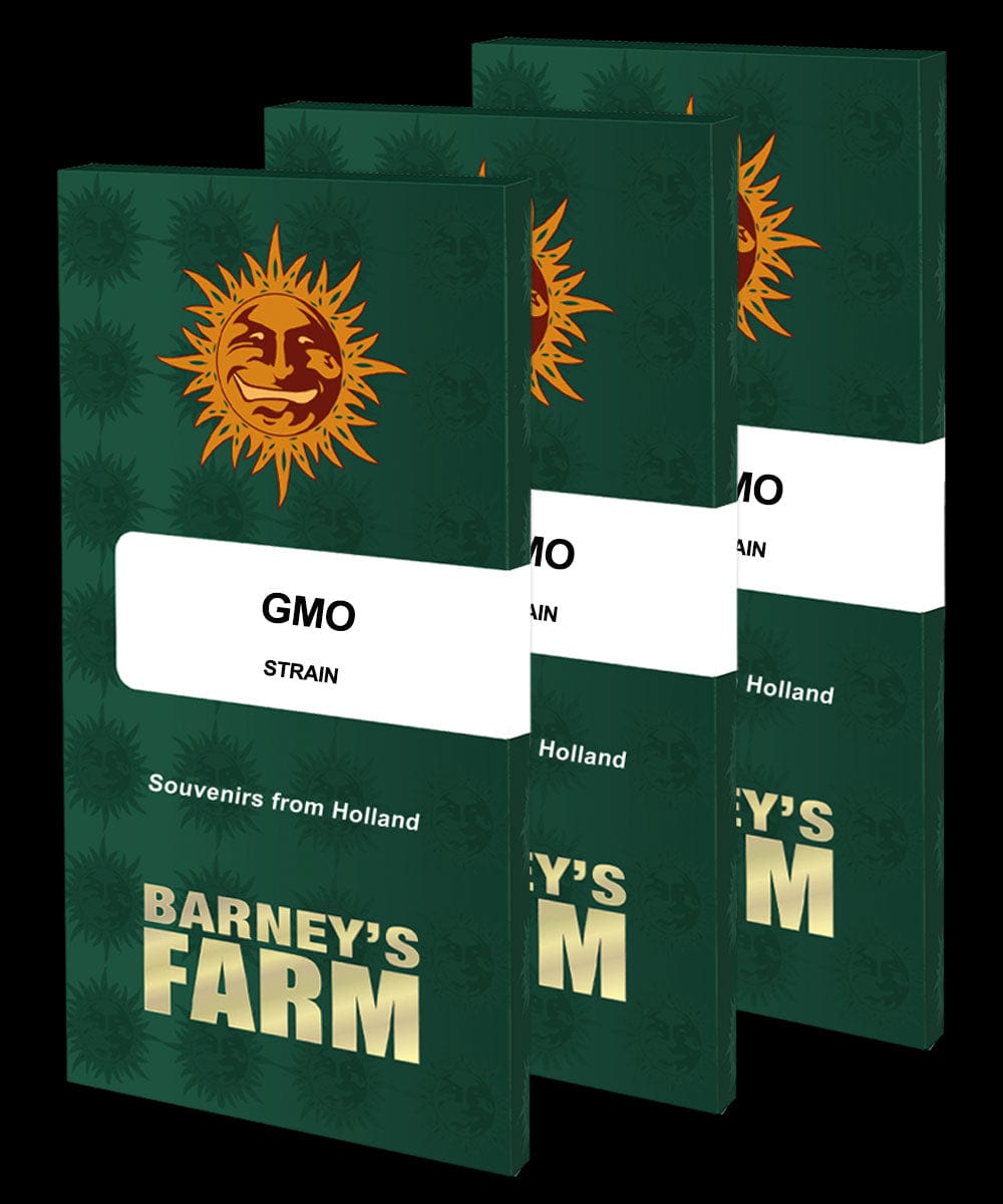 Barney's Farm GMO