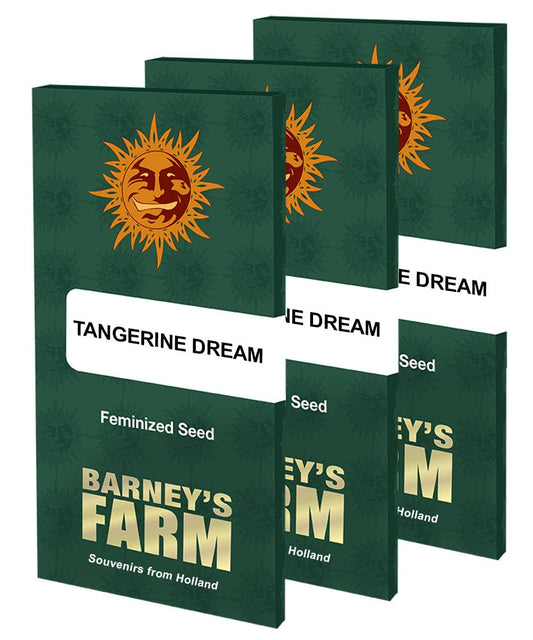 Barney's Farm Tangerine Dream