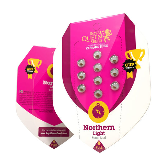 RQS Northern Light