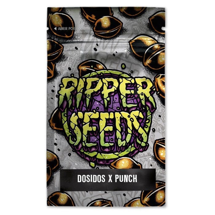 Ripper Seeds Do-Si-Dos x Purple Punch